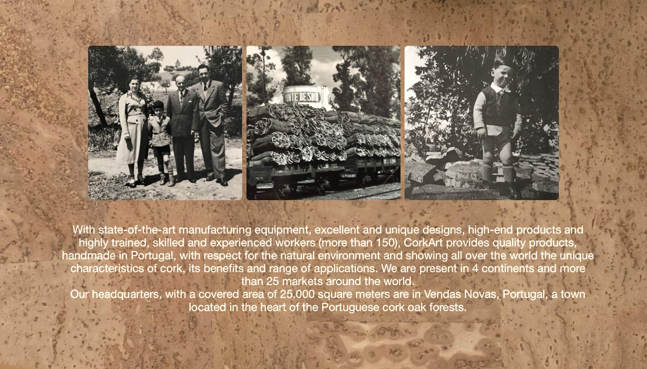 product-content-image