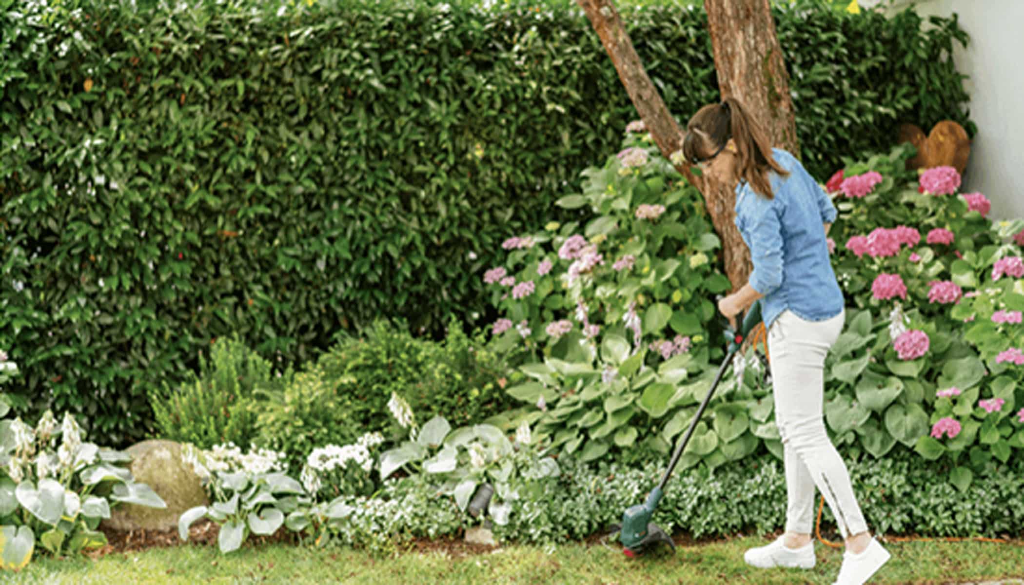 product-content-image