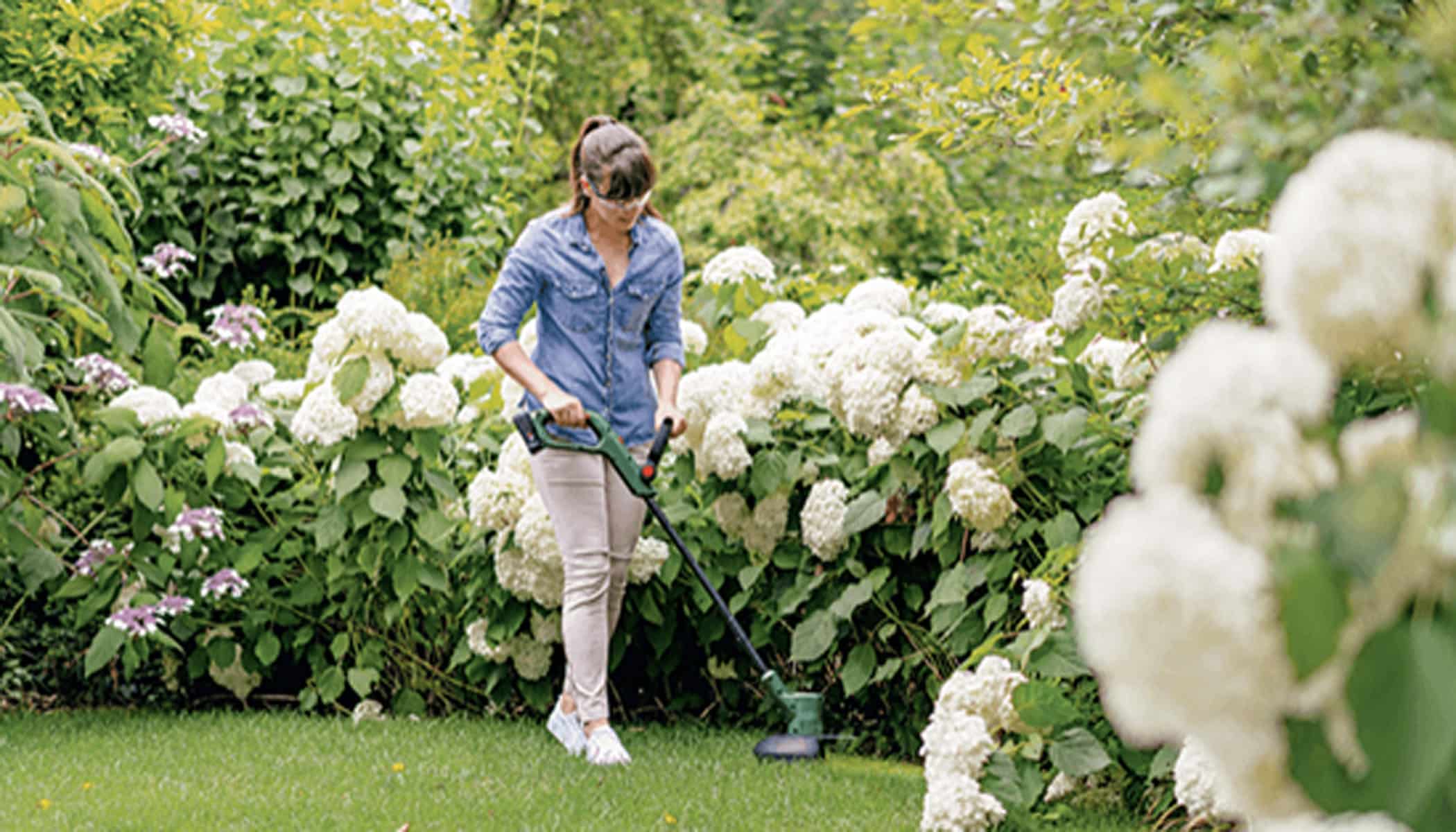 product-content-image