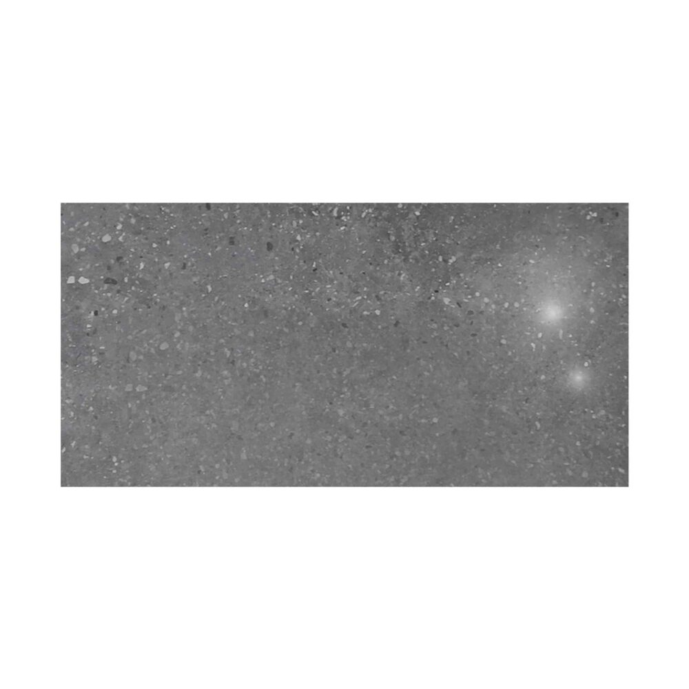 Bologna Ash Semi Polished Porcelain Tile - 300x600 Variation Image