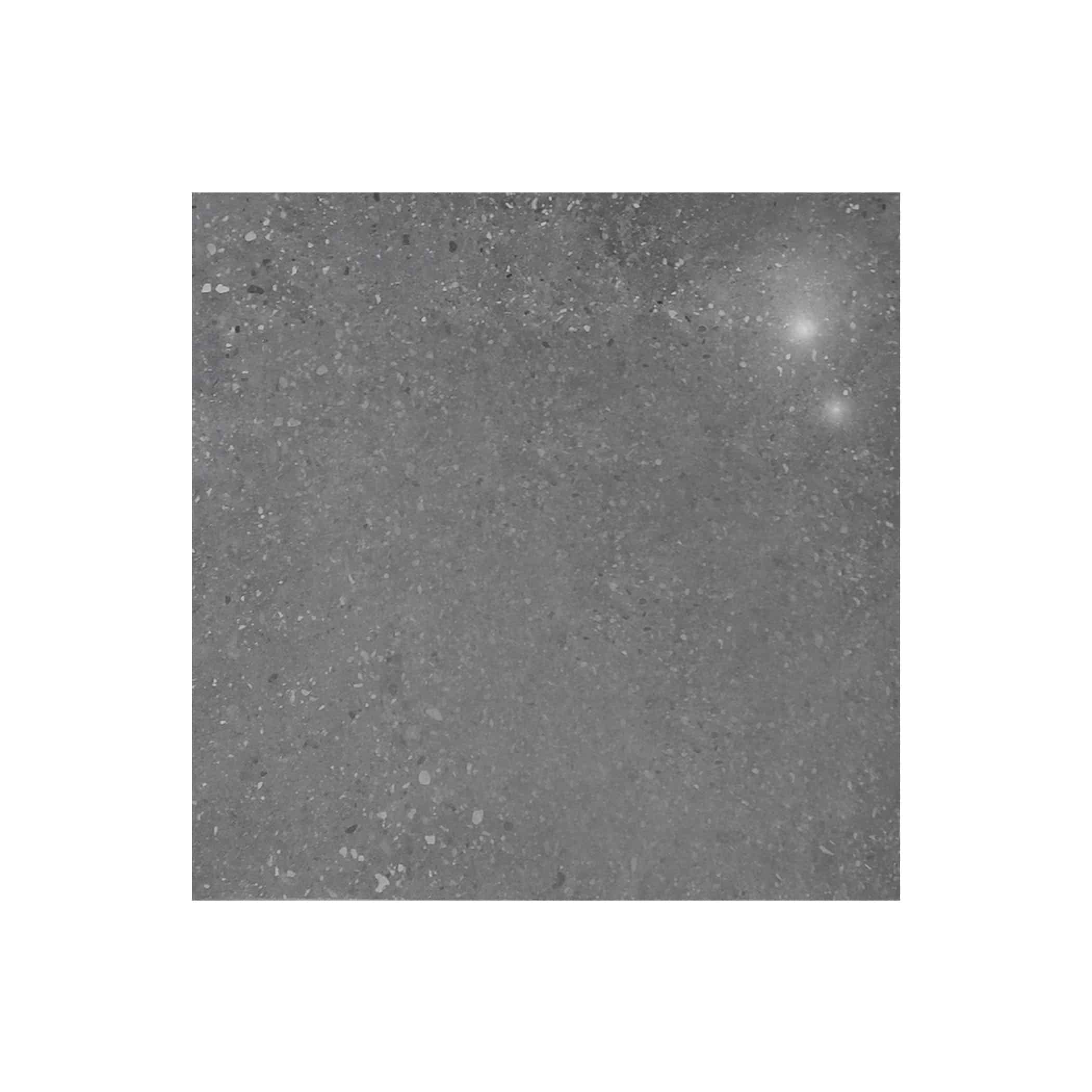 Bologna Ash Semi Polished Porcelain Tile - 600x600 Variation Image