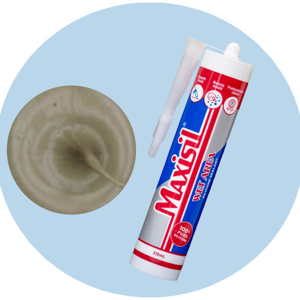 Maxisil A Wet Area Silicone Sealant - A29 Havana - Single Item Variation