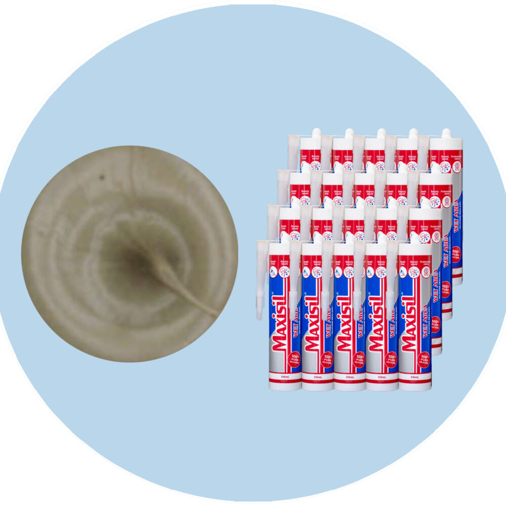 Maxisil A Wet Area Silicone Sealant - A29 Havana - Box of 20 Variation