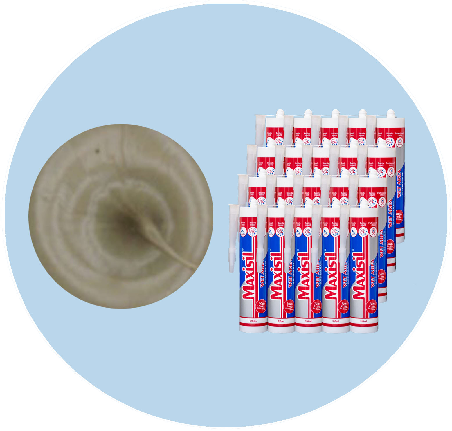 Maxisil A Wet Area Silicone Sealant - A29 Havana - Box of 20 Variation