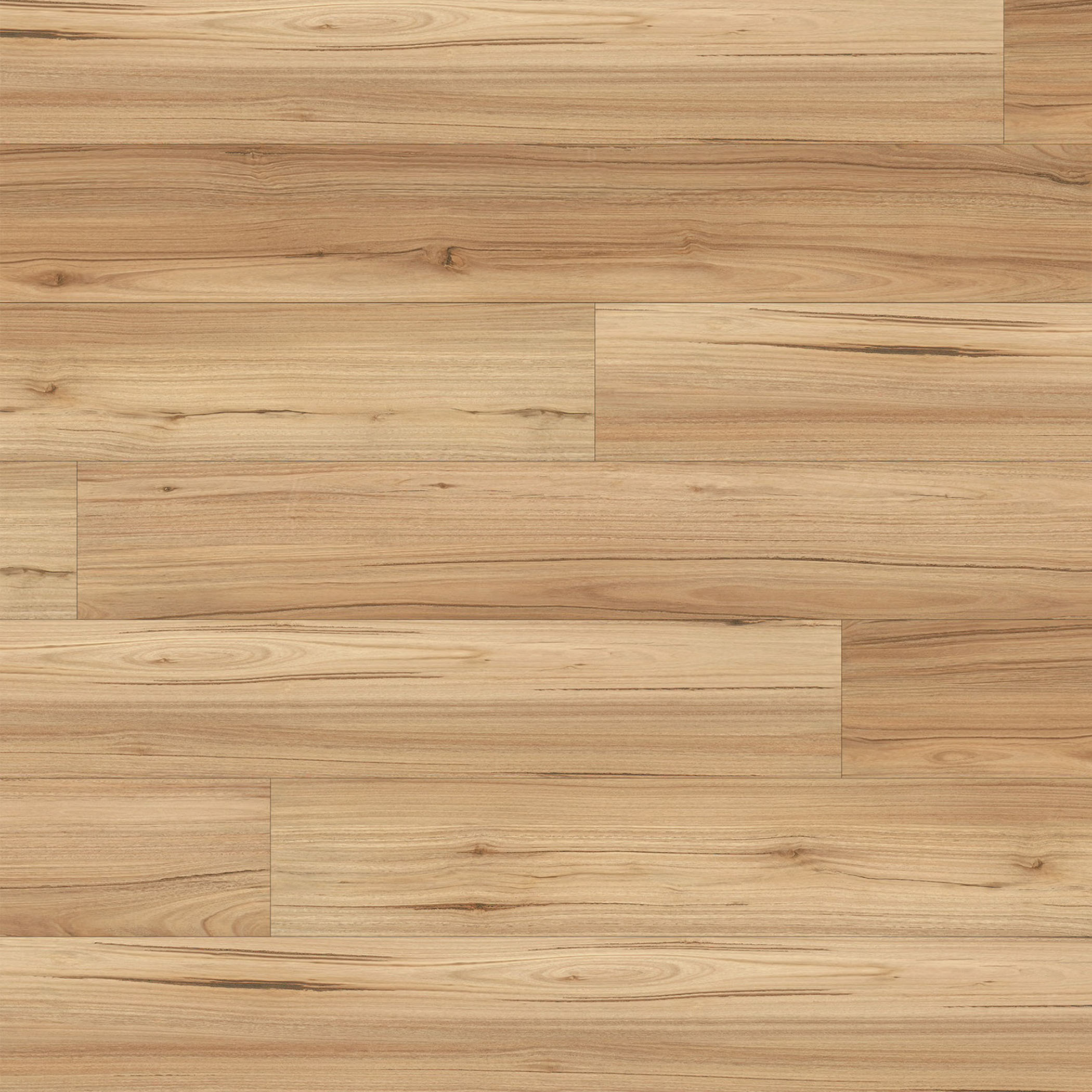Mountain Blackbutt 811 SPC Hybrid Flooring - Gallery Image