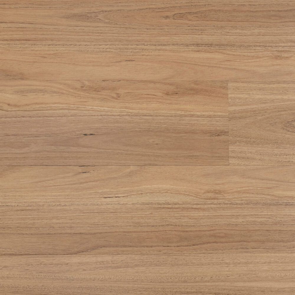 Sunstar Maxi Hybrid Flooring - 904 Blackbutt - Gallery Image