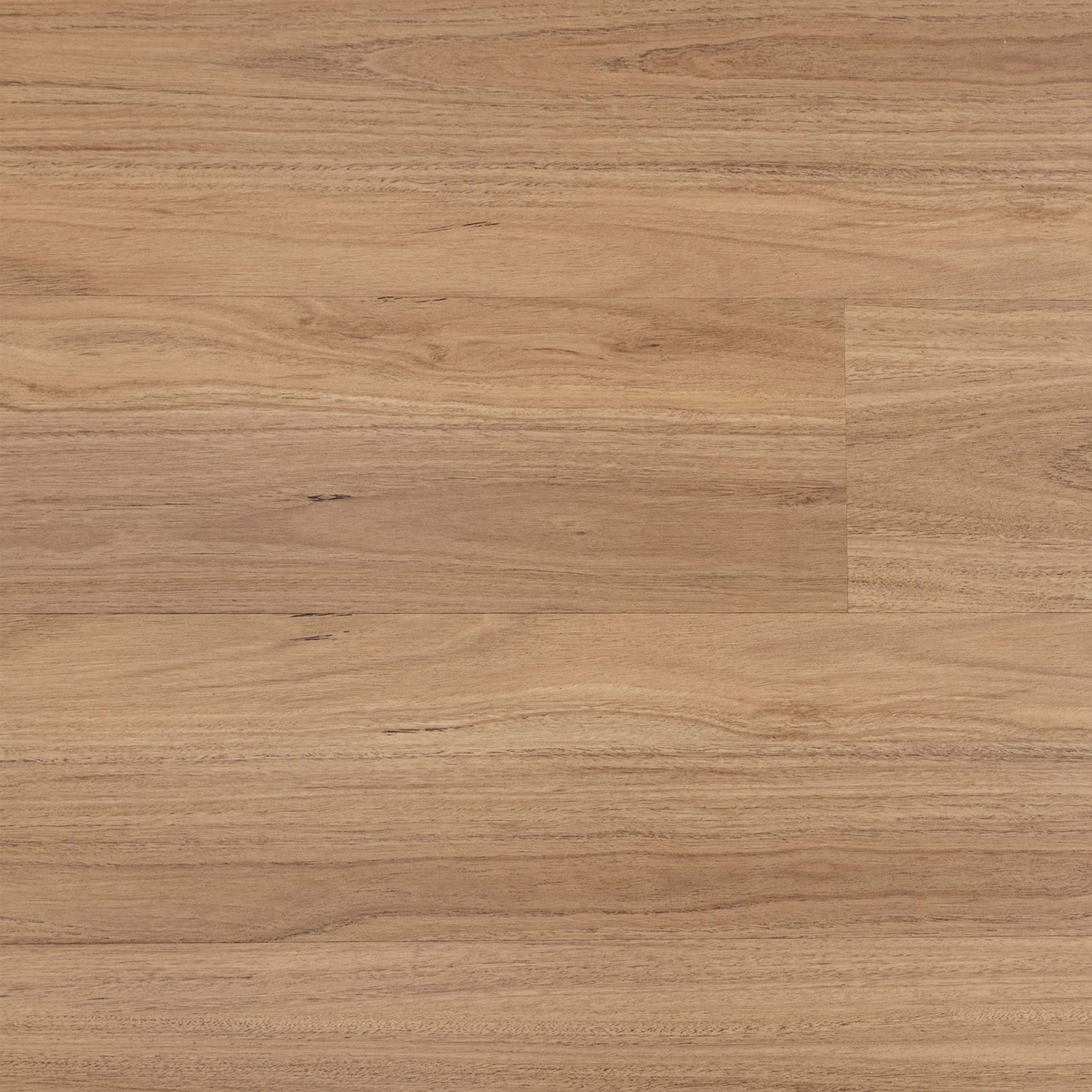 Sunstar Maxi Hybrid Flooring - 904 Blackbutt - Gallery Image