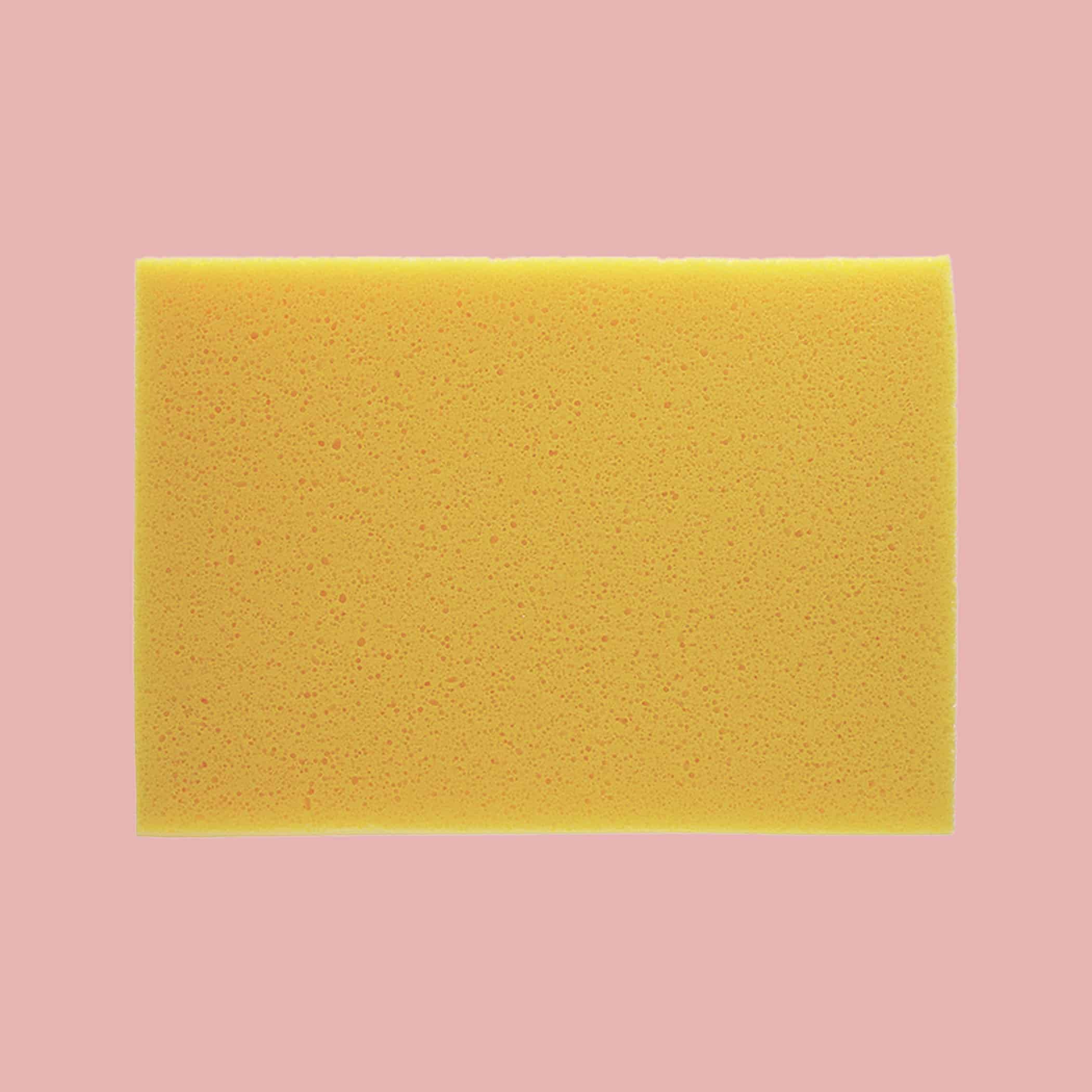 DTA Premium Quality Hydrosponge - Product Image