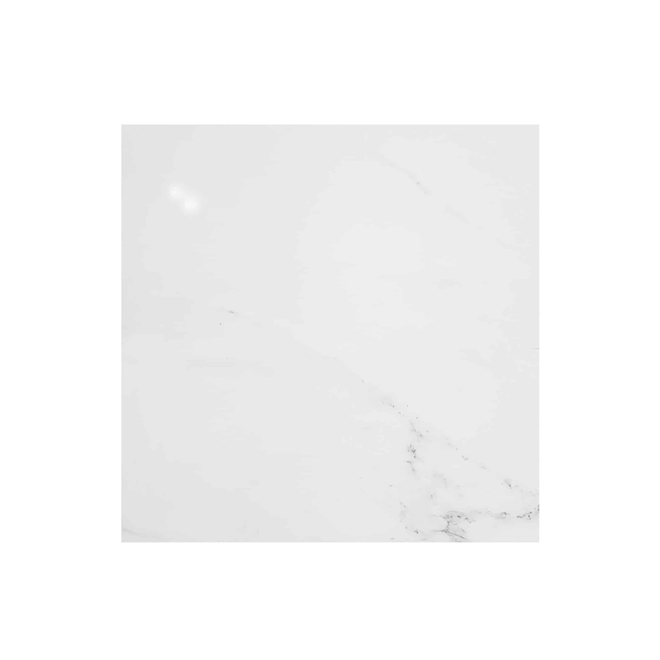 Absolute Carrara Polished Porcelain Tile - 600x600 Variation Image