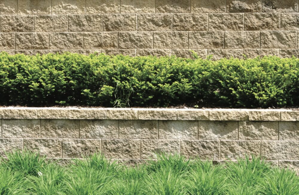 Ormonoid Bitkote No.3 - Feature Image 1