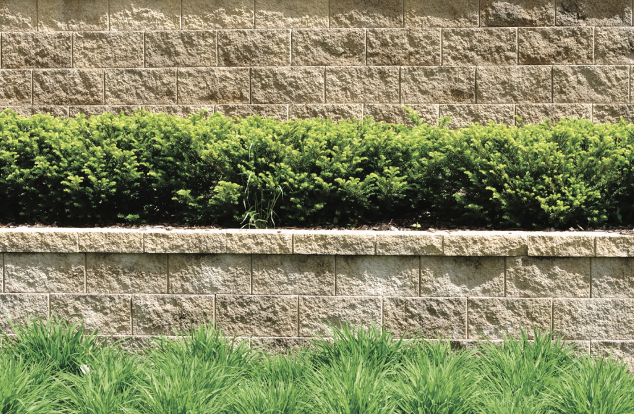 Ormonoid Bitkote No.3 - Feature Image 1