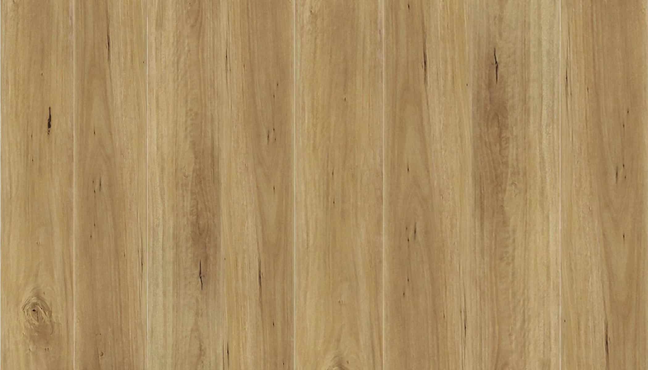 Aussie Bushland Blackbutt 8mm Laminate - Feature Image