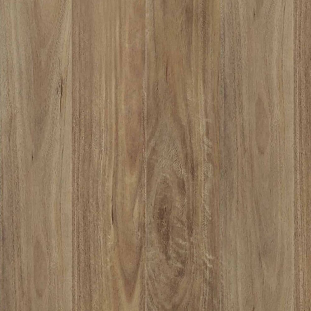 Aussie Bushland Spotted Gum - Gallery Image