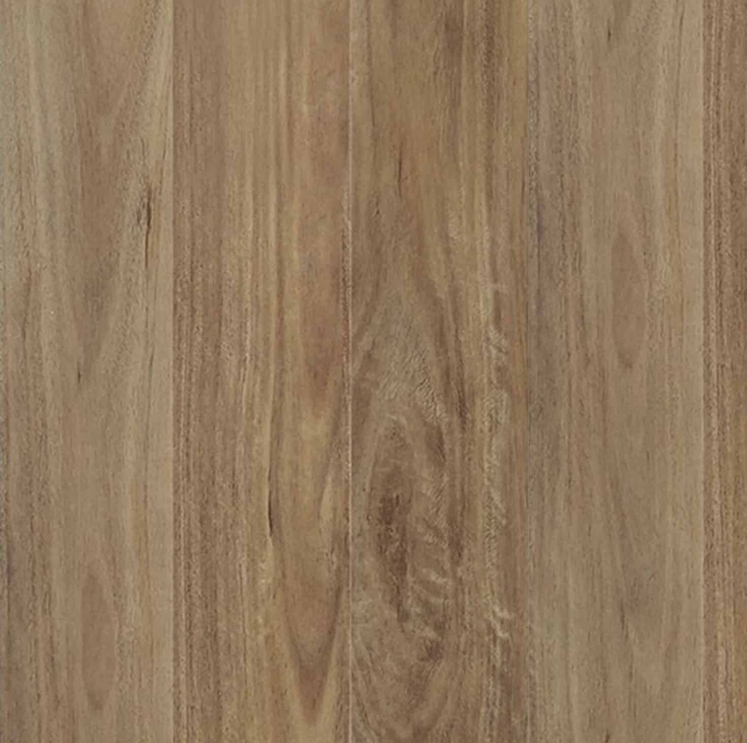 Aussie Bushland Spotted Gum - Gallery Image