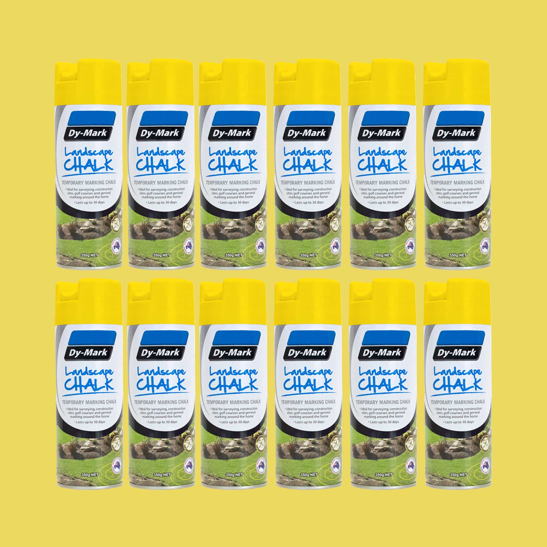 Dy-Mark Landscape Chalk - 12 Pack Yellow Variation Image