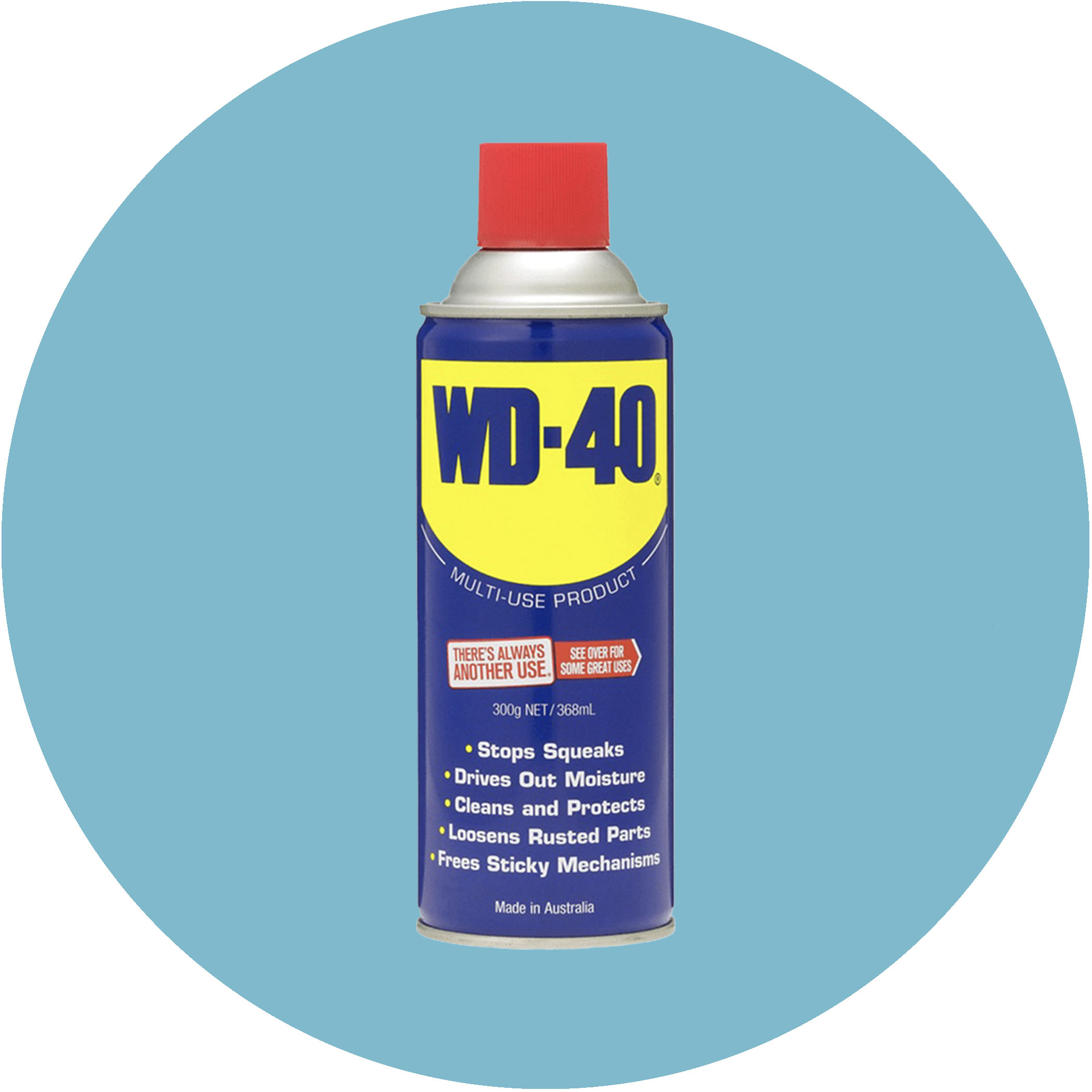 WD-40 Multi-Use Classic Spray 300g - Product Image