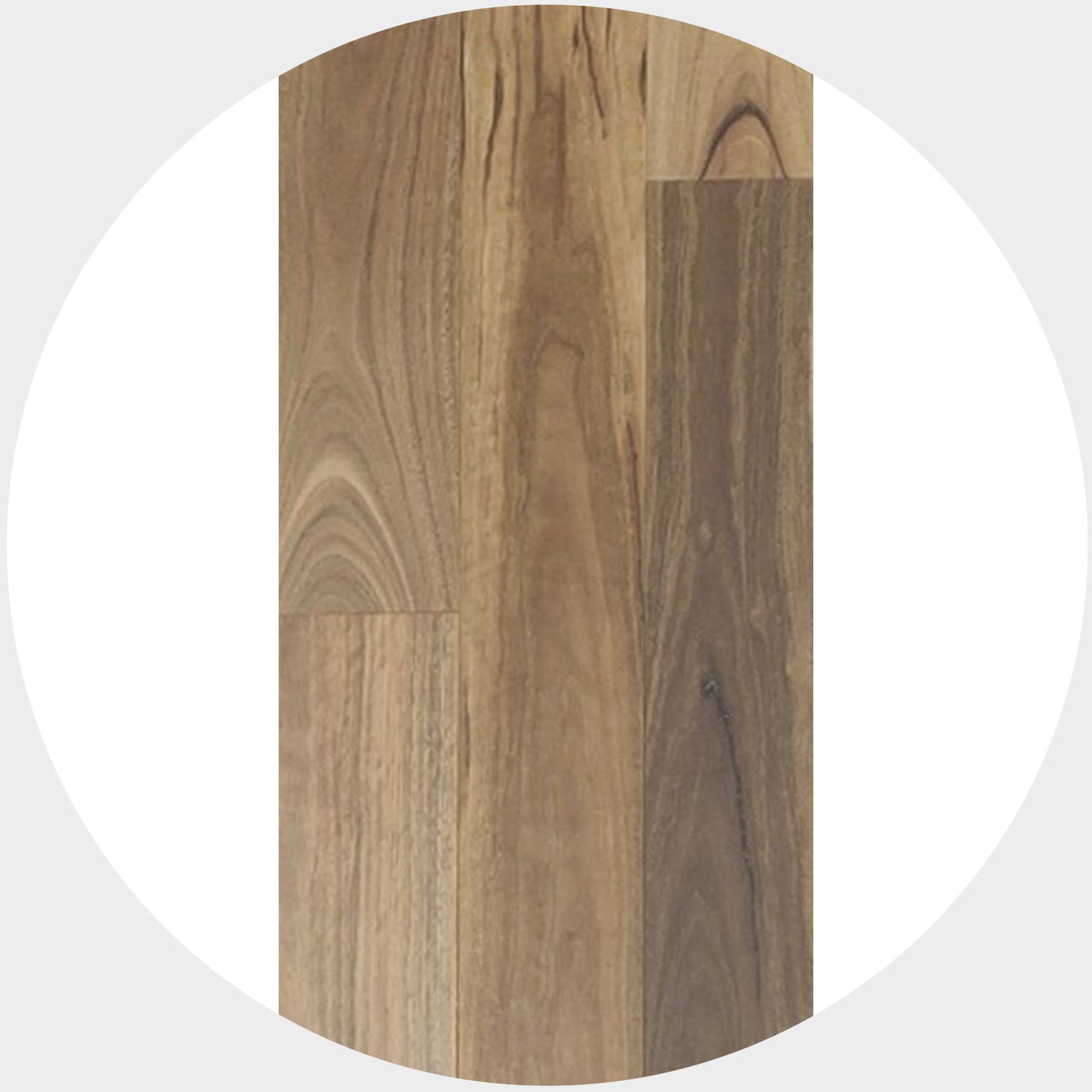 Spotted Gum Timber Veneer Flooring - Product Image