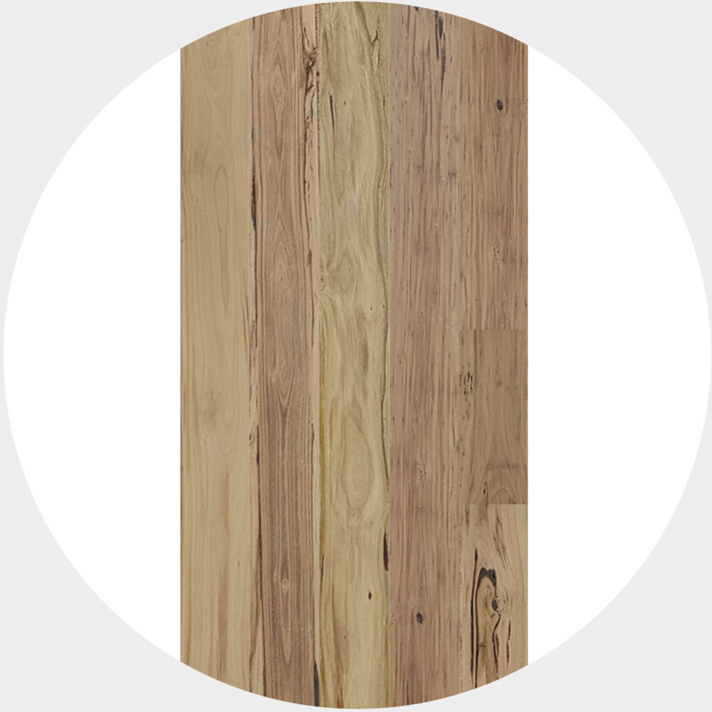 Heritage Blackbutt Timber Veneer - Product Image