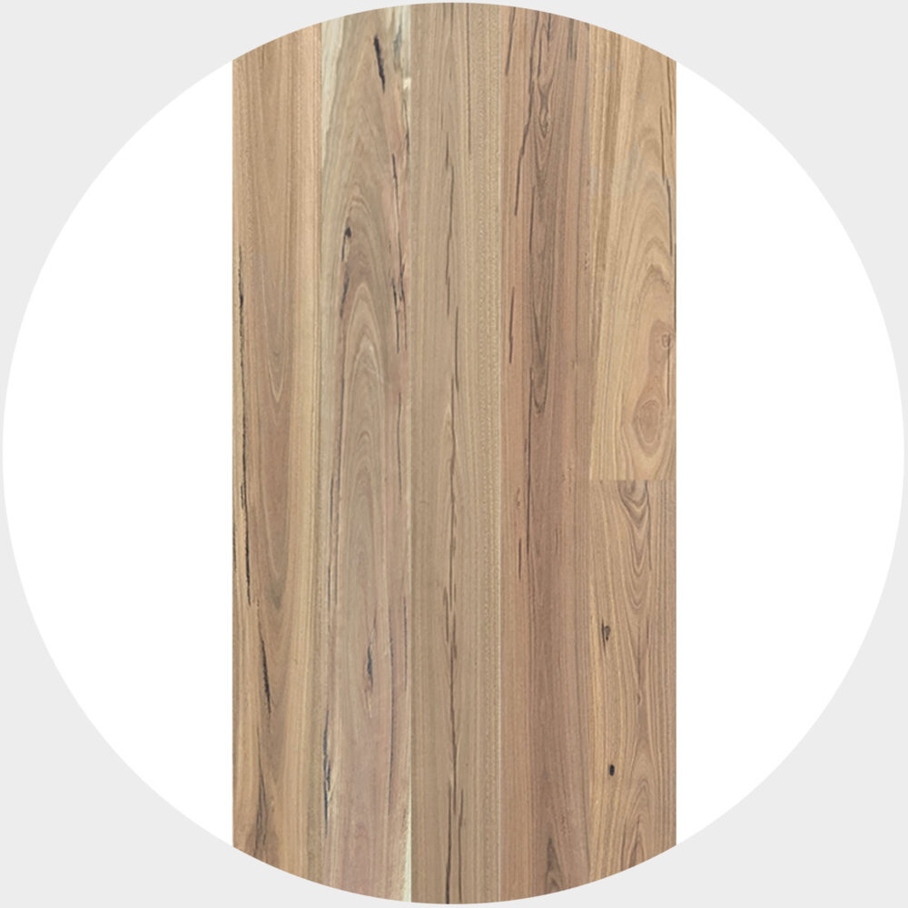 Heritage Spotted Gum Timber Veneer Flooring - Product Image