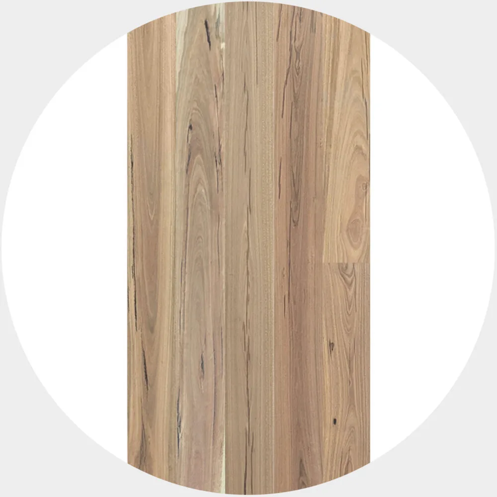 Heritage Spotted Gum Timber Veneer Flooring - Product Image