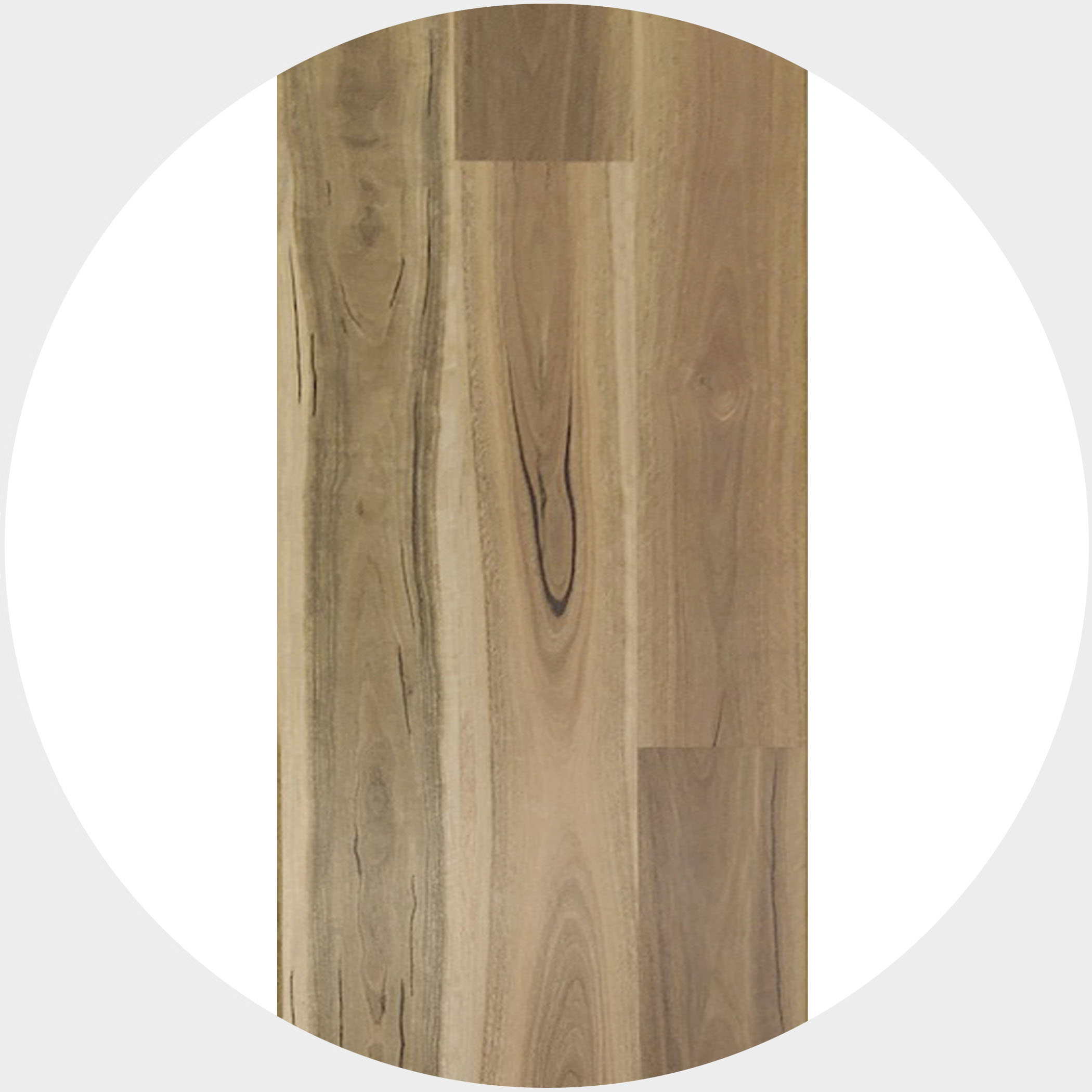 Natural Spotted Gum Timber Veneer Flooring - Product Image
