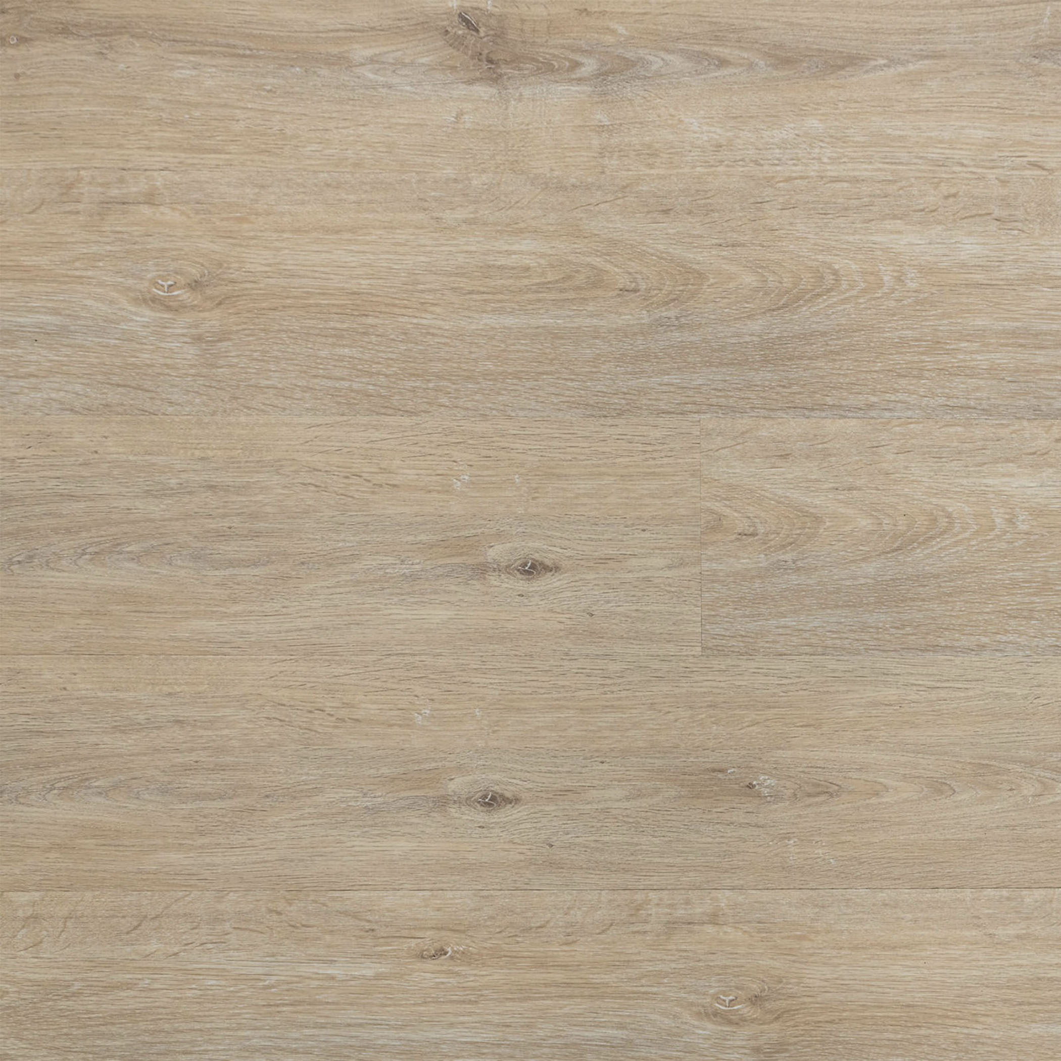 Carina 801 SPC Hybrid Flooring - Gallery Image