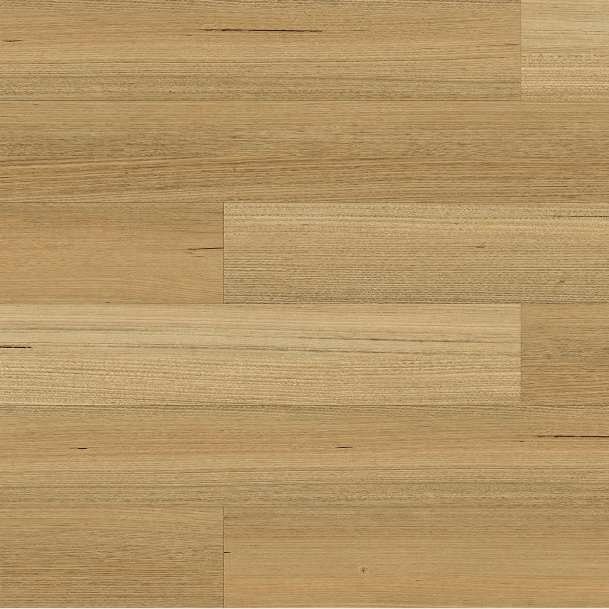 Tasmanian Oak 812 SPC Hybrid Flooring - Gallery Image