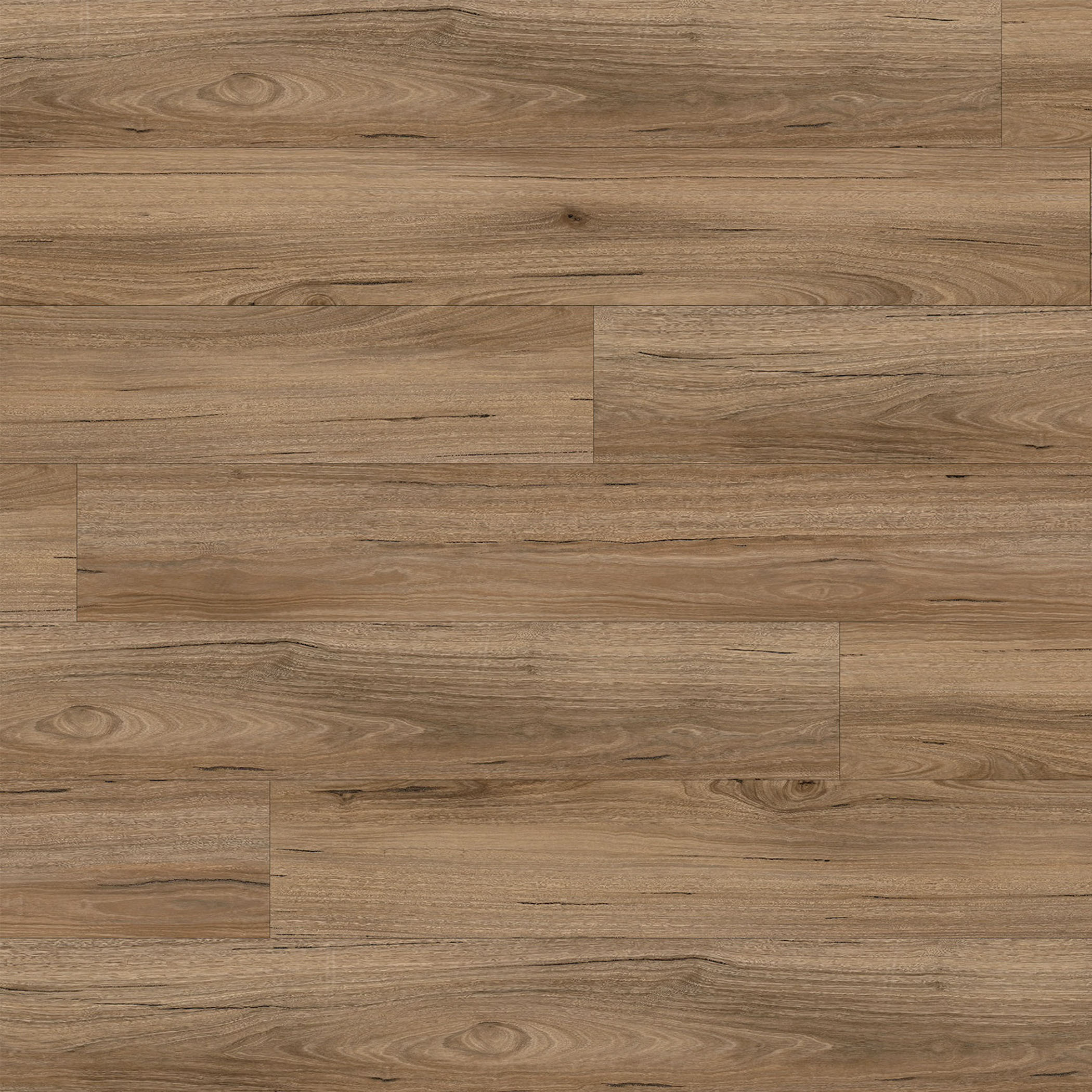Mountain Spotted Gum 813 SPC Hybrid Flooring - Gallery Image