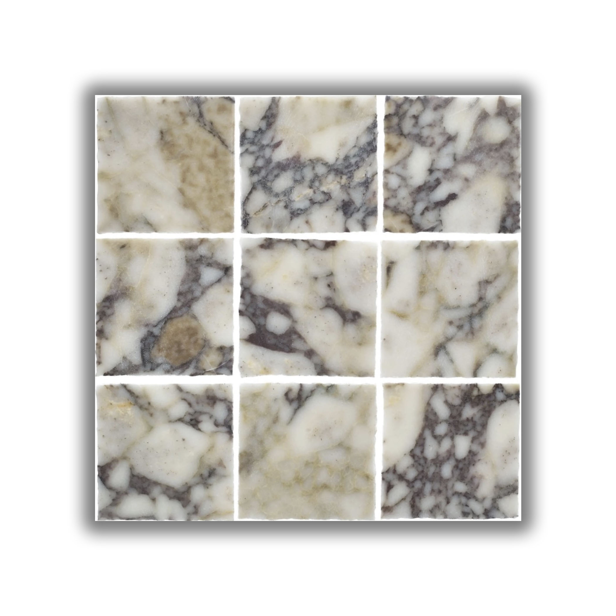 Elementa Natural Stone Square Tile - Calacatta Viola - Gallery Image