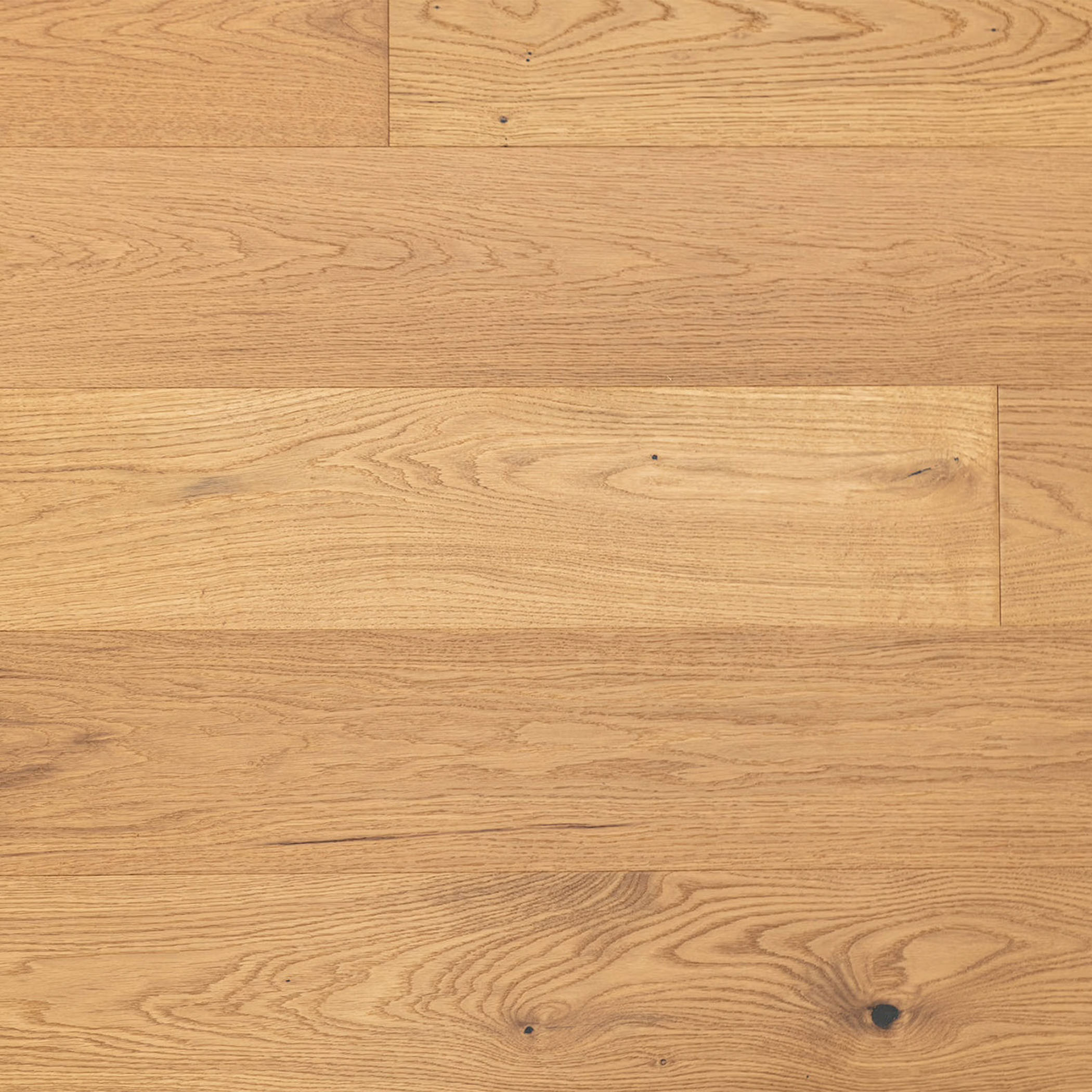 Sunstar Oak Classics Builders Range Flooring - 002 Ballina - Gallery Image