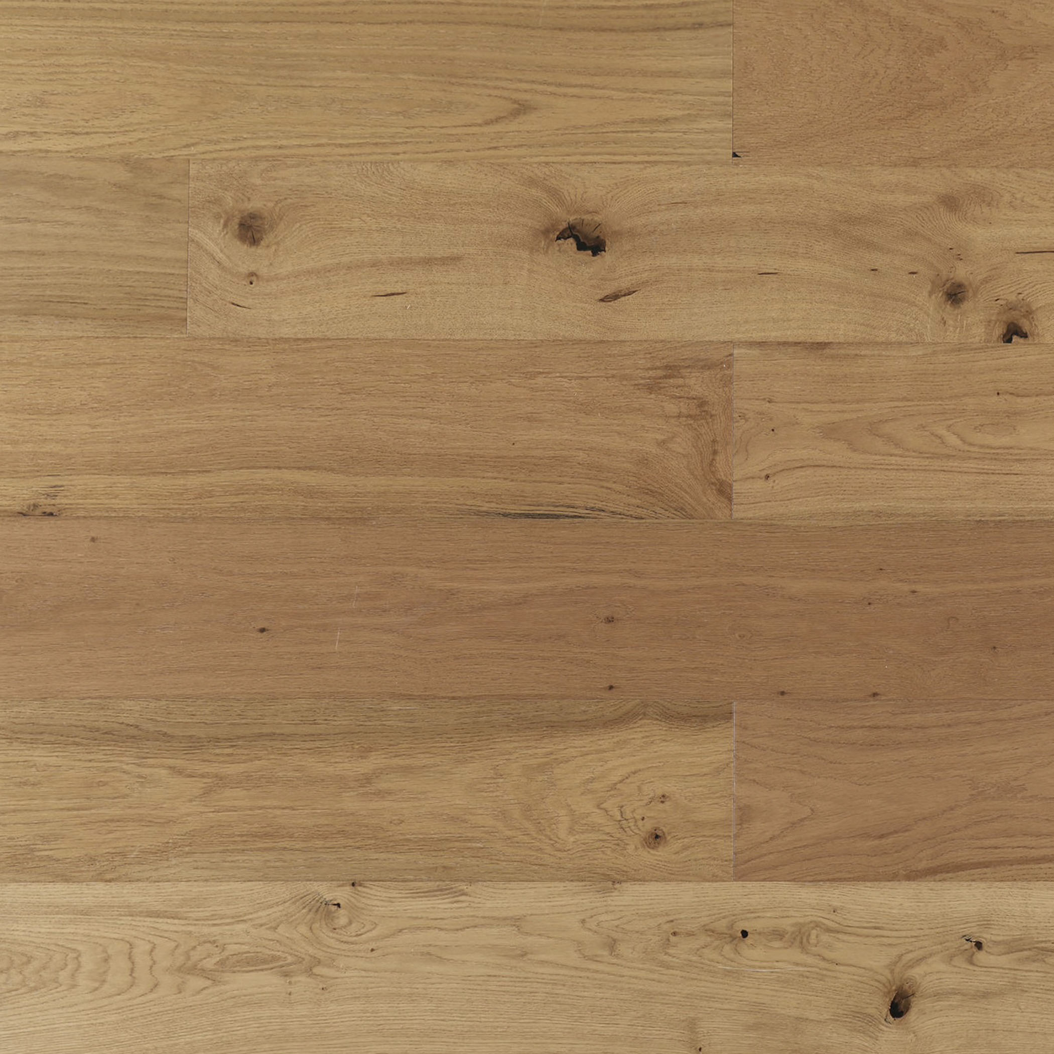 Sunstar Oak Classics Builders Range Flooring - 028 Bolworra - Gallery Image