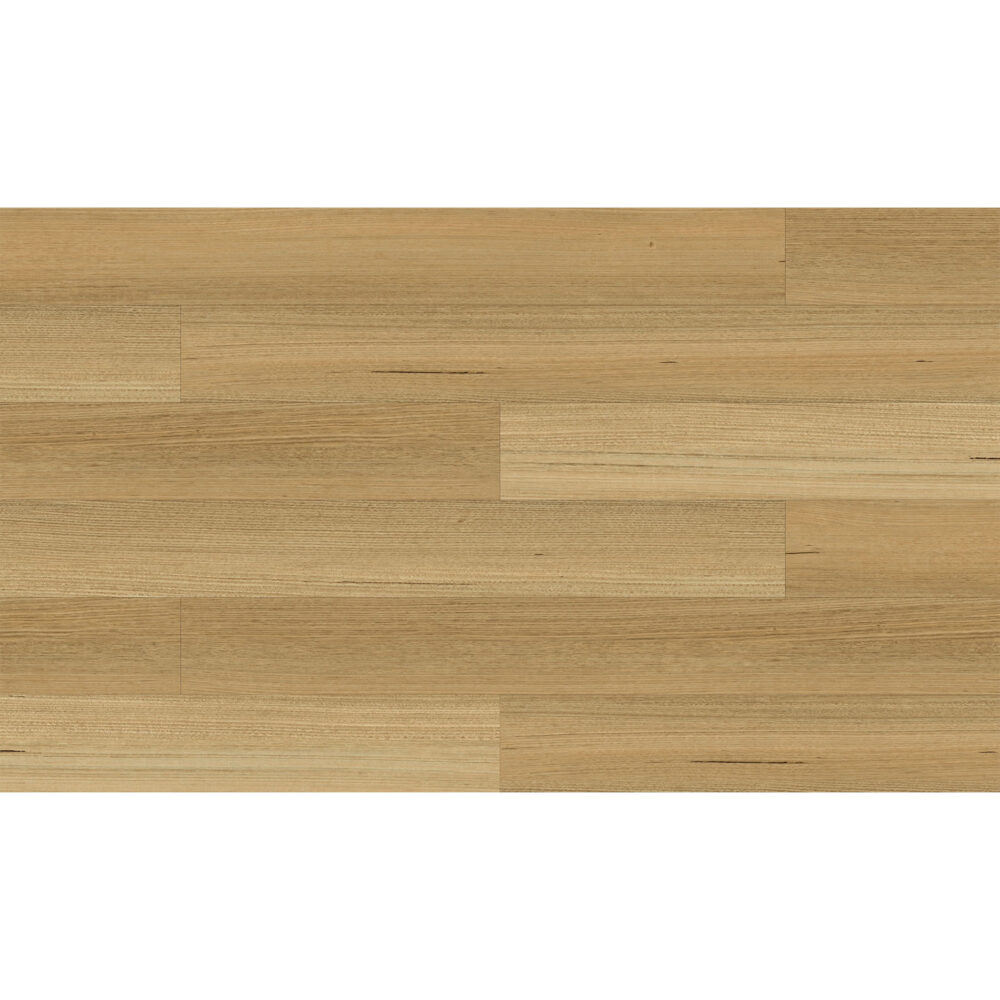 Sunstar Maxi Smooth Finish Flooring - 921 Burnie - Gallery Image