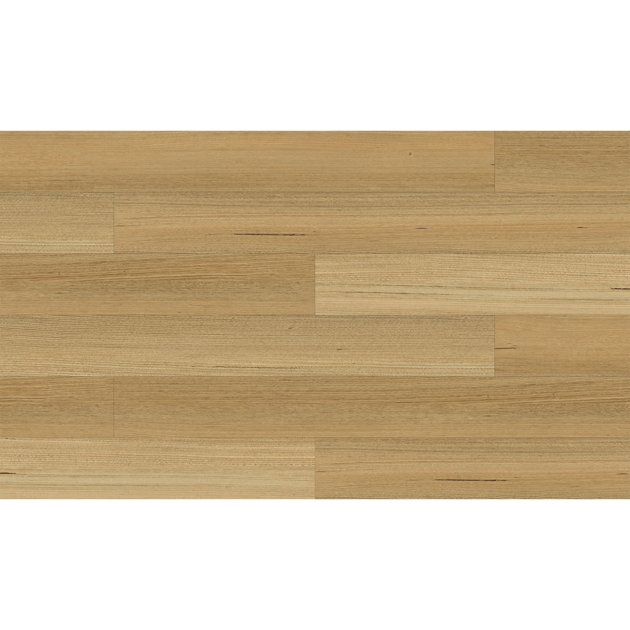 Sunstar Maxi Smooth Finish Flooring - 921 Burnie - Gallery Image