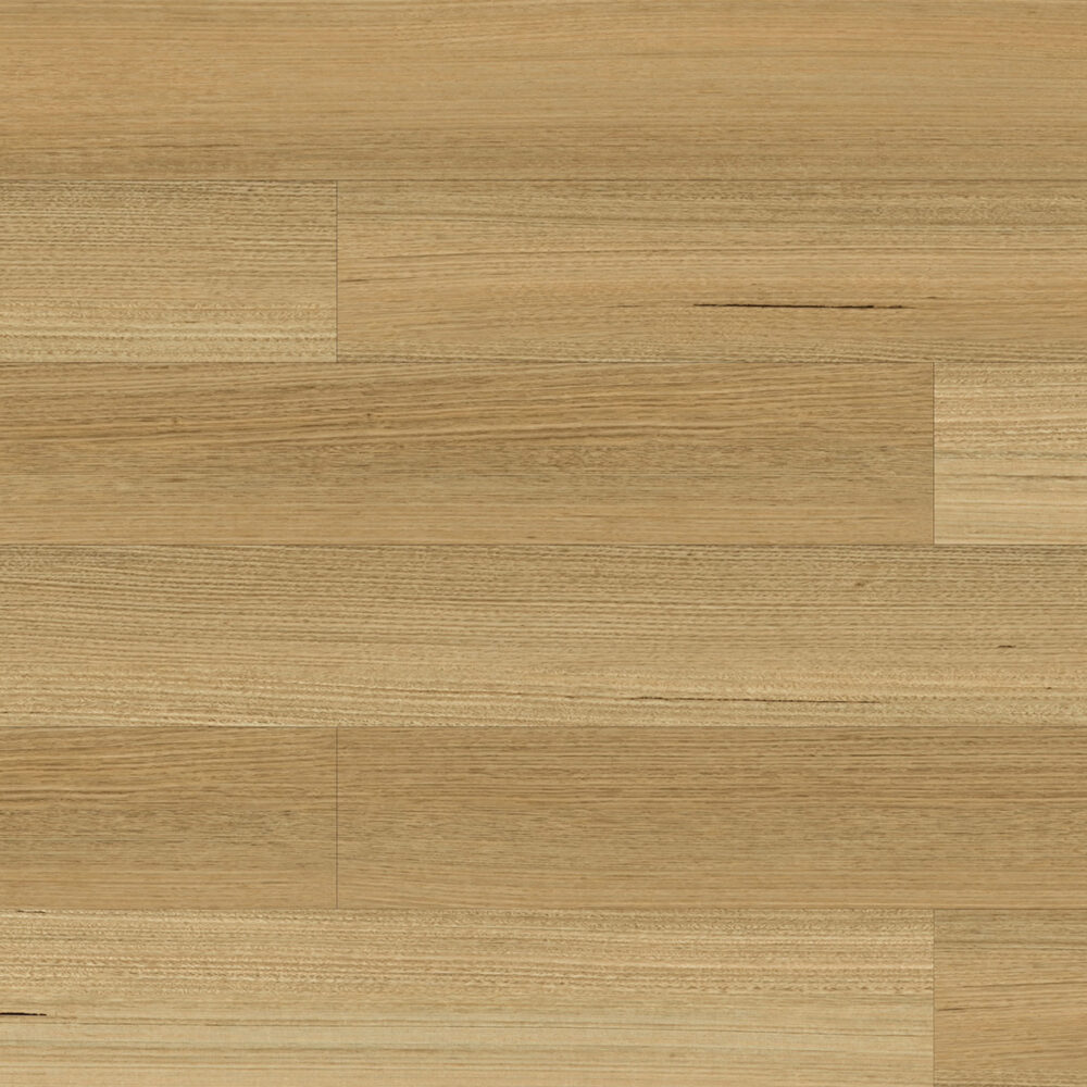 Sunstar Maxi Smooth Finish Flooring - 921 Burnie - Gallery Image