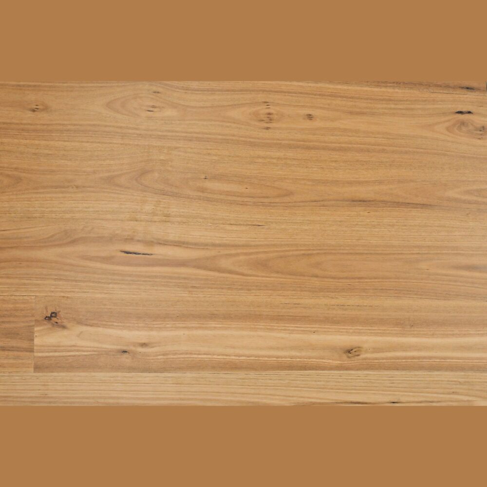 Sunstar Australian Hardwood - Naturals Range Flooring - HB204 Blackbutt 190mm