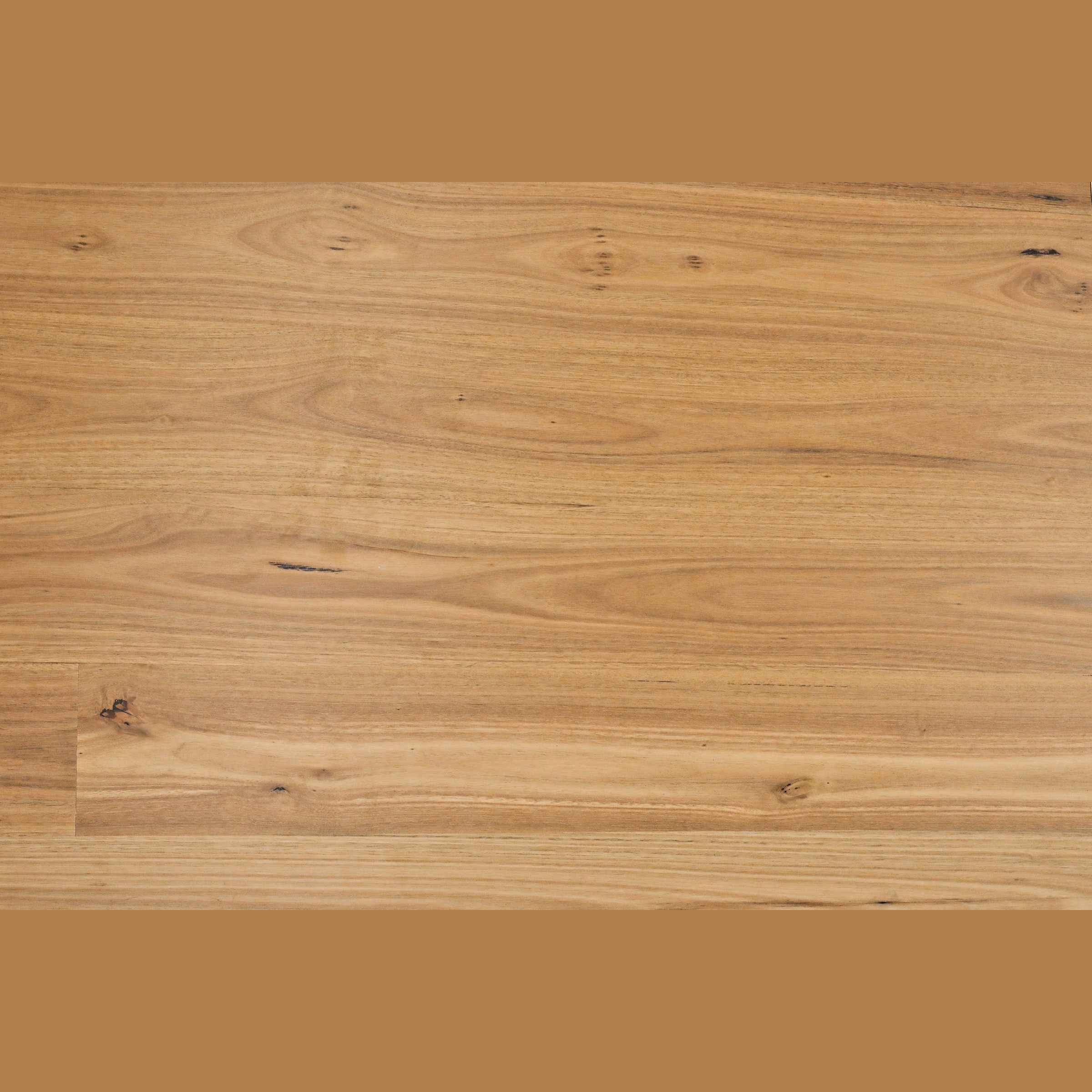 Sunstar Australian Hardwood - Naturals Range Flooring - HB204 Blackbutt 190mm