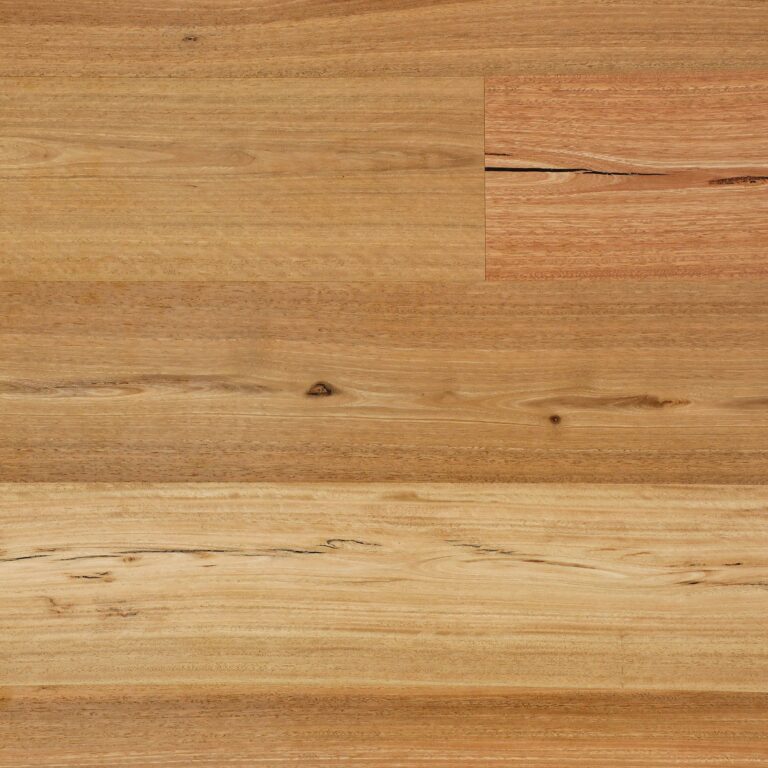 Sunstar Australian Hardwood - Naturals Range Flooring - HG108 Spotted Gum Feature Brush Finish 190mm - Product Image