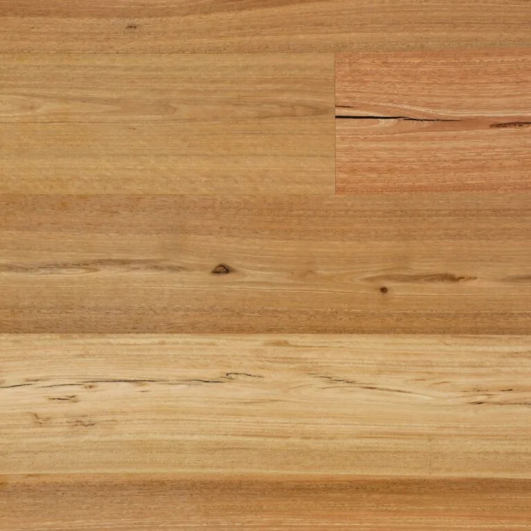 Sunstar Australian Hardwood - Naturals Range Flooring - HG108 Spotted Gum Feature Brush Finish 190mm - Product Image