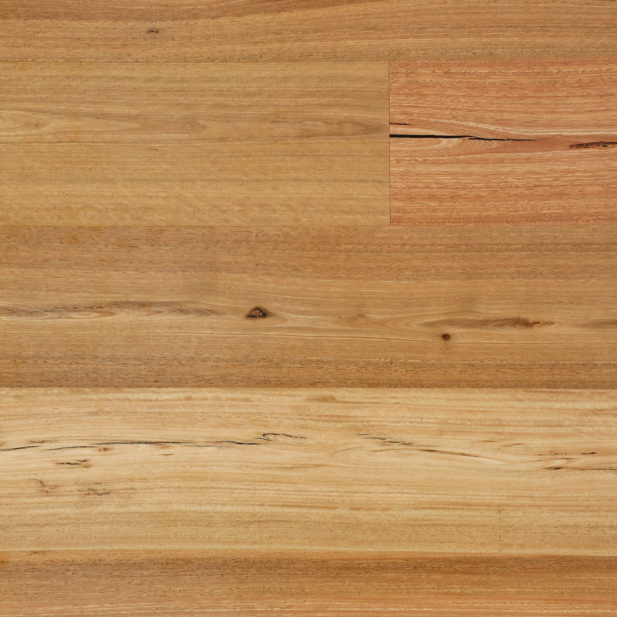Sunstar Australian Hardwood - Naturals Range Flooring - HG108 Spotted Gum Feature Brush Finish 190mm - Product Image