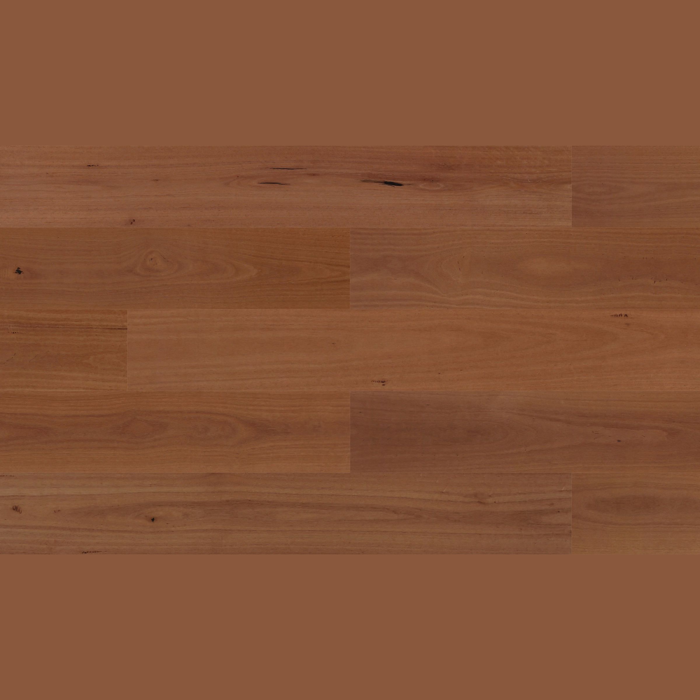 Sunstar Australian Hardwood - Naturals Range Flooring - HS604 Sydney Blue Gum 190mm