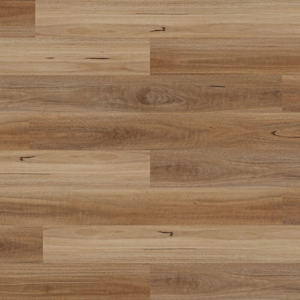 Sunstar Authentic Hybrid Flooring - 701 Spotted Gum - Gallery Image