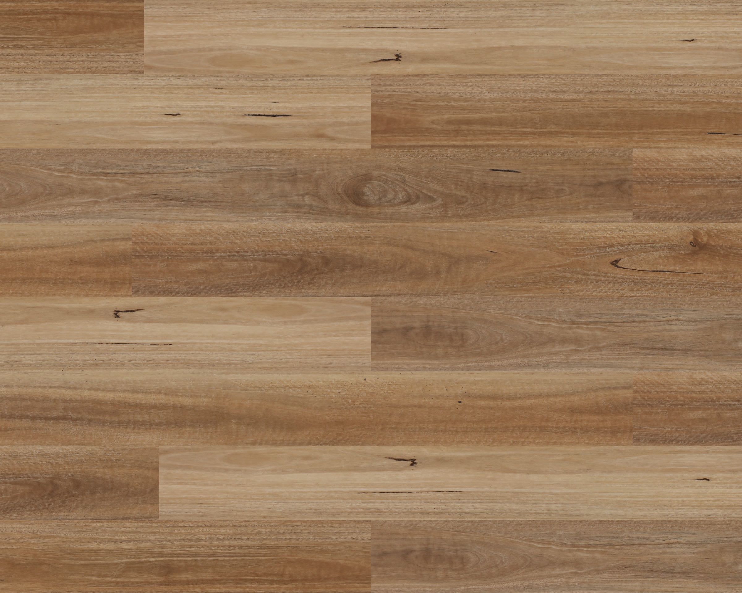 Sunstar Authentic Hybrid Flooring - 701 Spotted Gum - Gallery Image