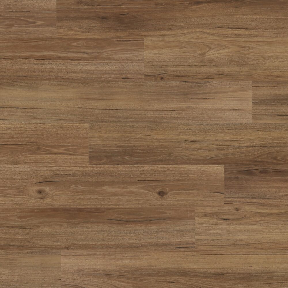 Sunstar Maxi Smooth Finish Flooring - 911 Rustic Spotted Gum - Gallery Image