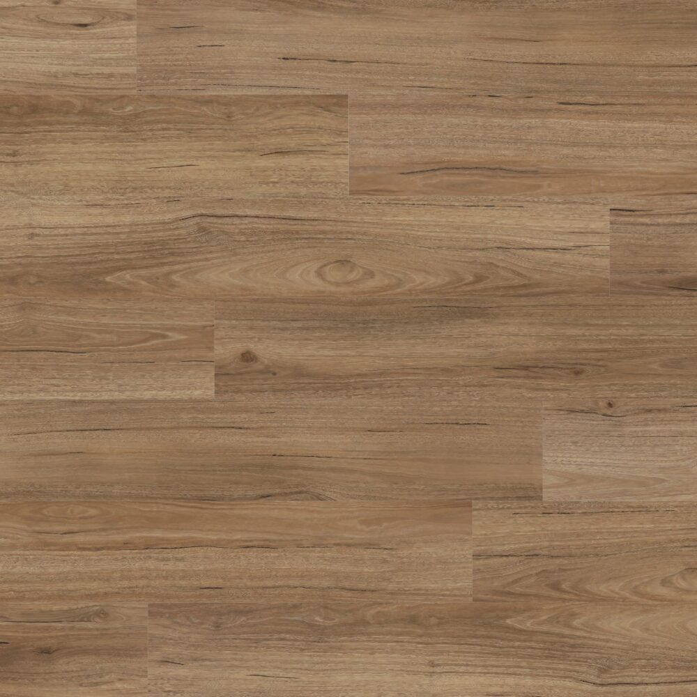 Sunstar Maxi Smooth Finish Flooring - 912 Coastal Spotted Gum - Gallery Image