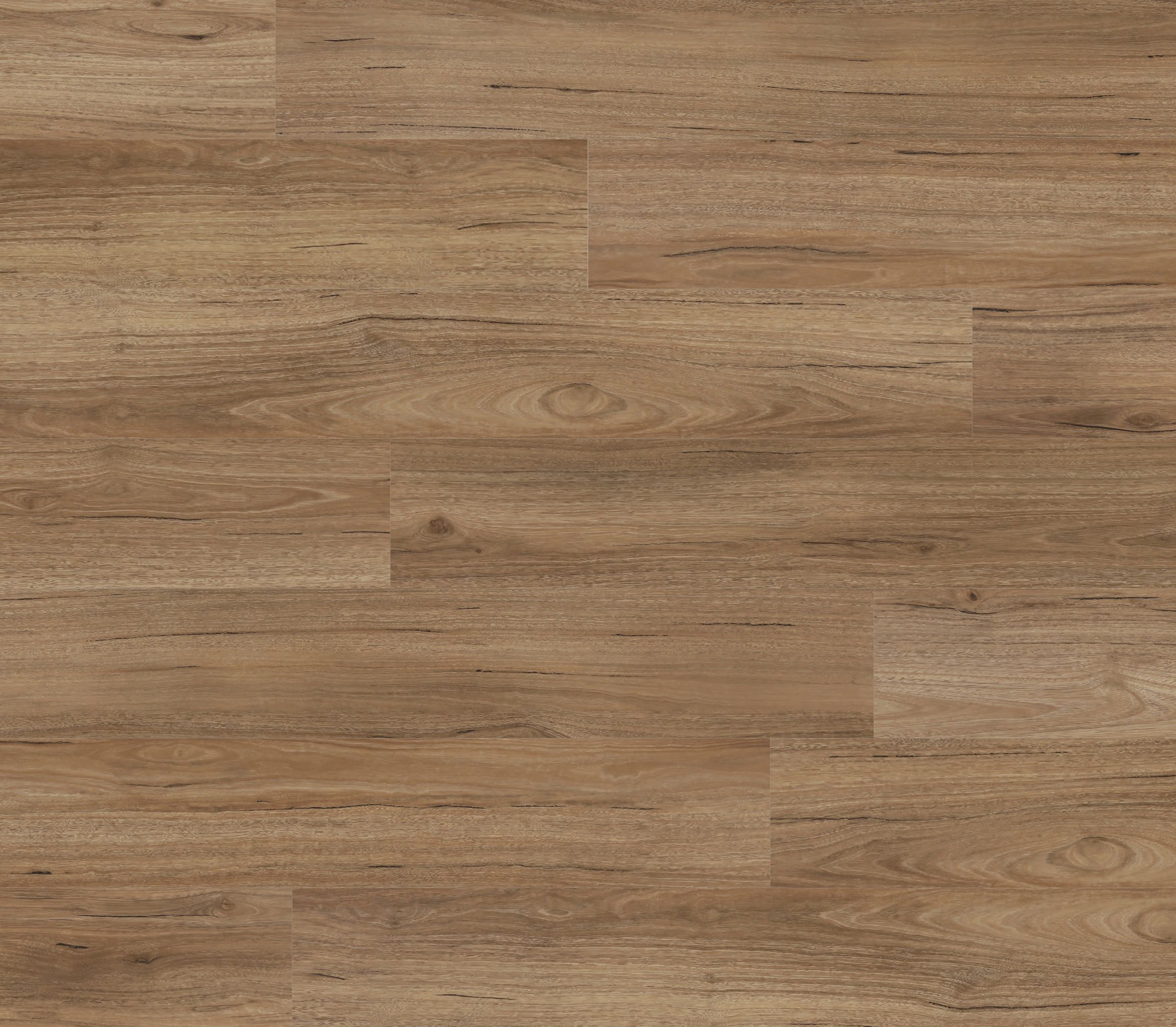 Sunstar Maxi Smooth Finish Flooring - 912 Coastal Spotted Gum - Gallery Image