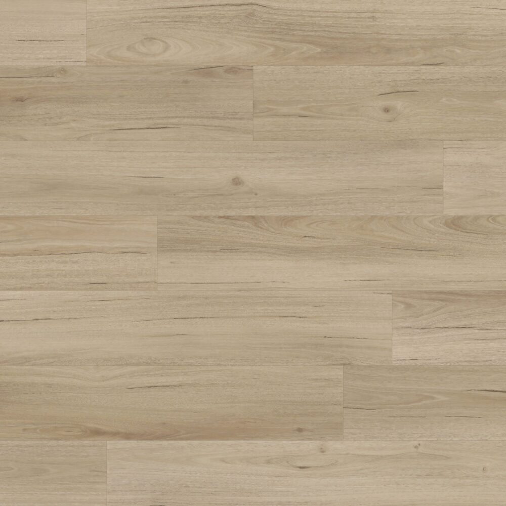 Sunstar Maxi Smooth Finish Flooring - 917 Kennett - Gallery Image