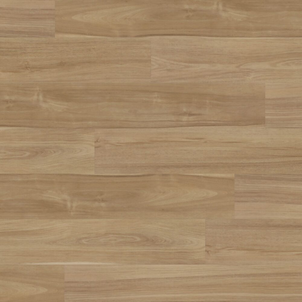 Sunstar Maxi Smooth Finish Flooring - 918 Parker Hill - Gallery Image