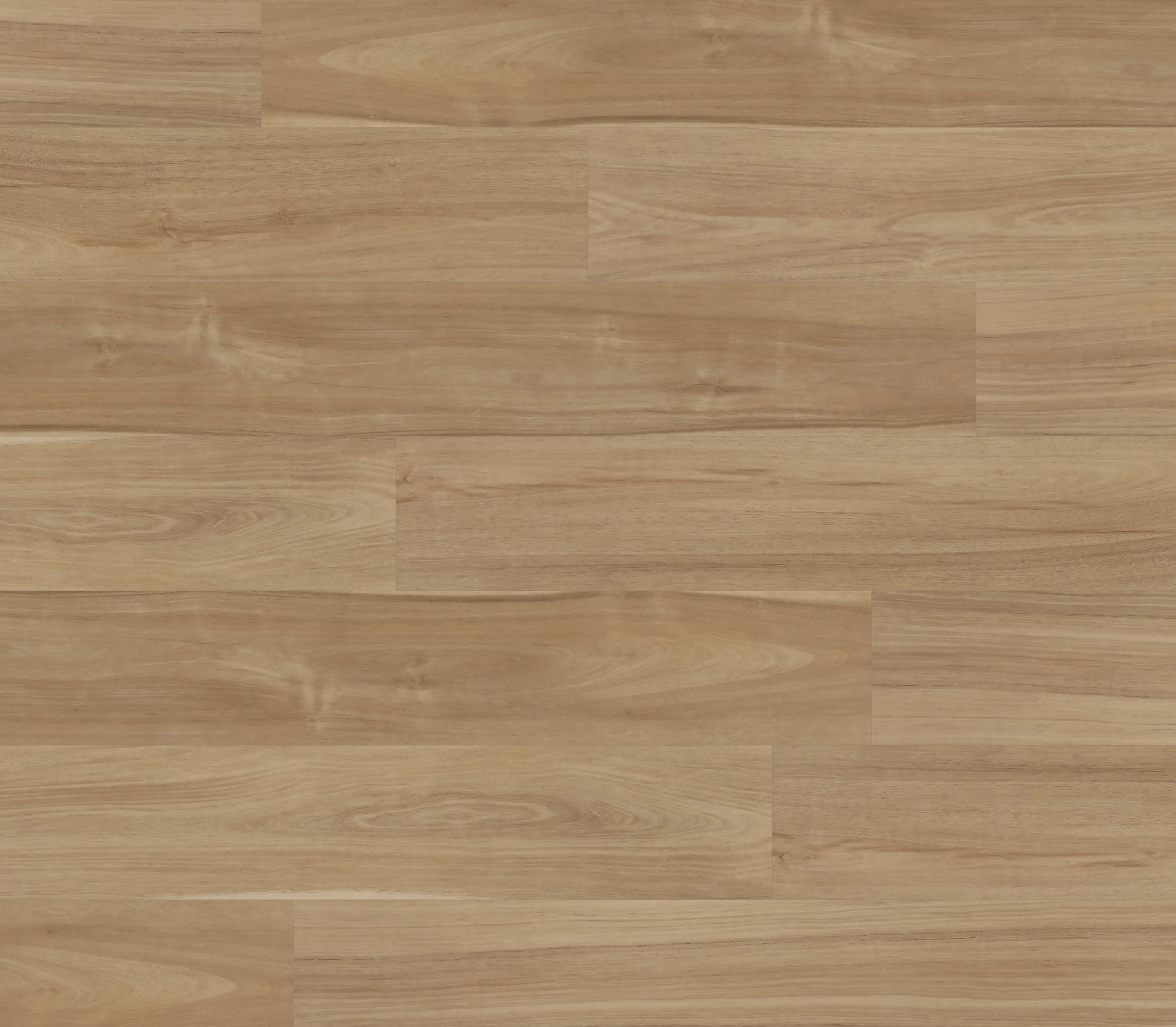 Sunstar Maxi Smooth Finish Flooring - 918 Parker Hill - Gallery Image