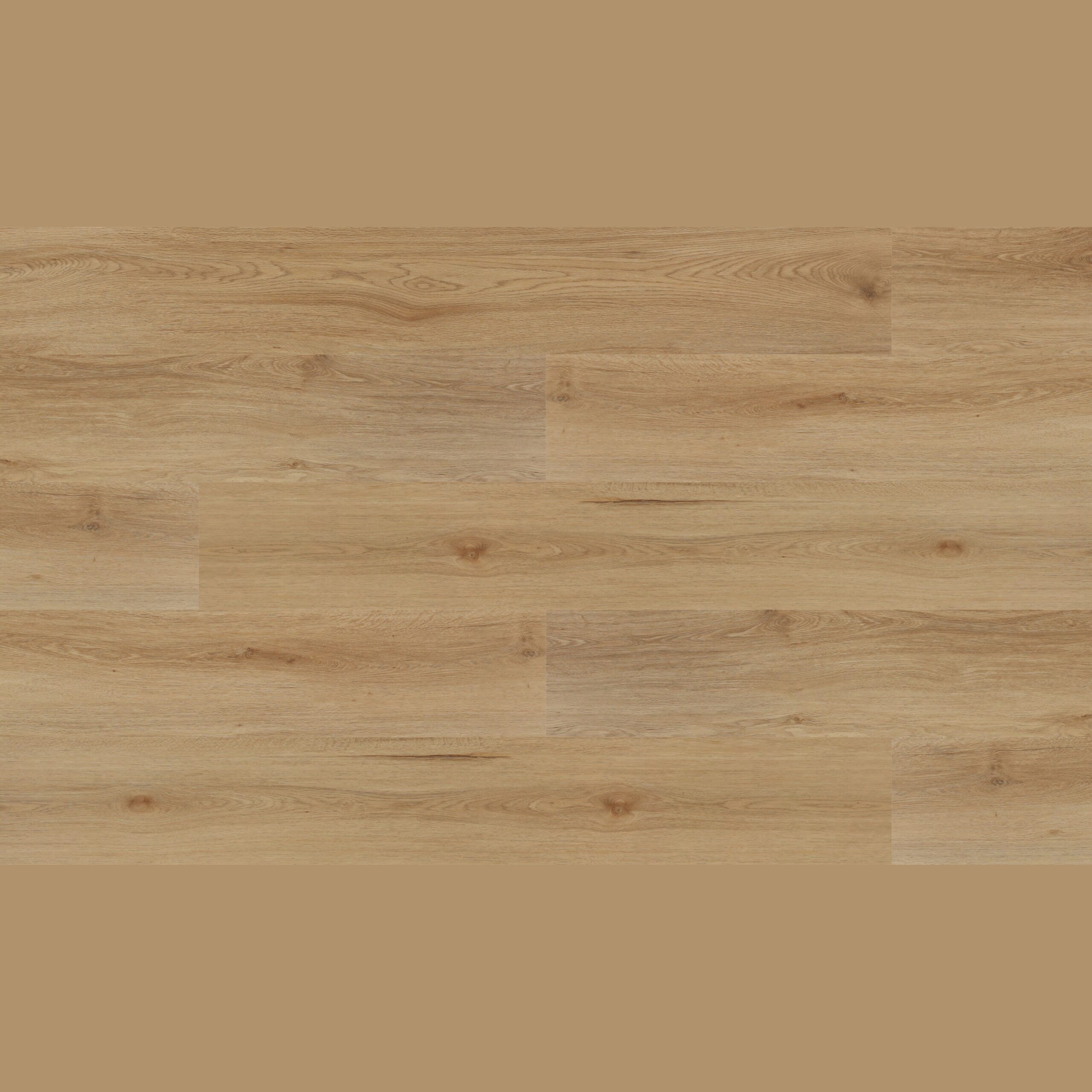 Sunstar Maxi Smooth Finish Flooring - 922 Elliston - Gallery Image