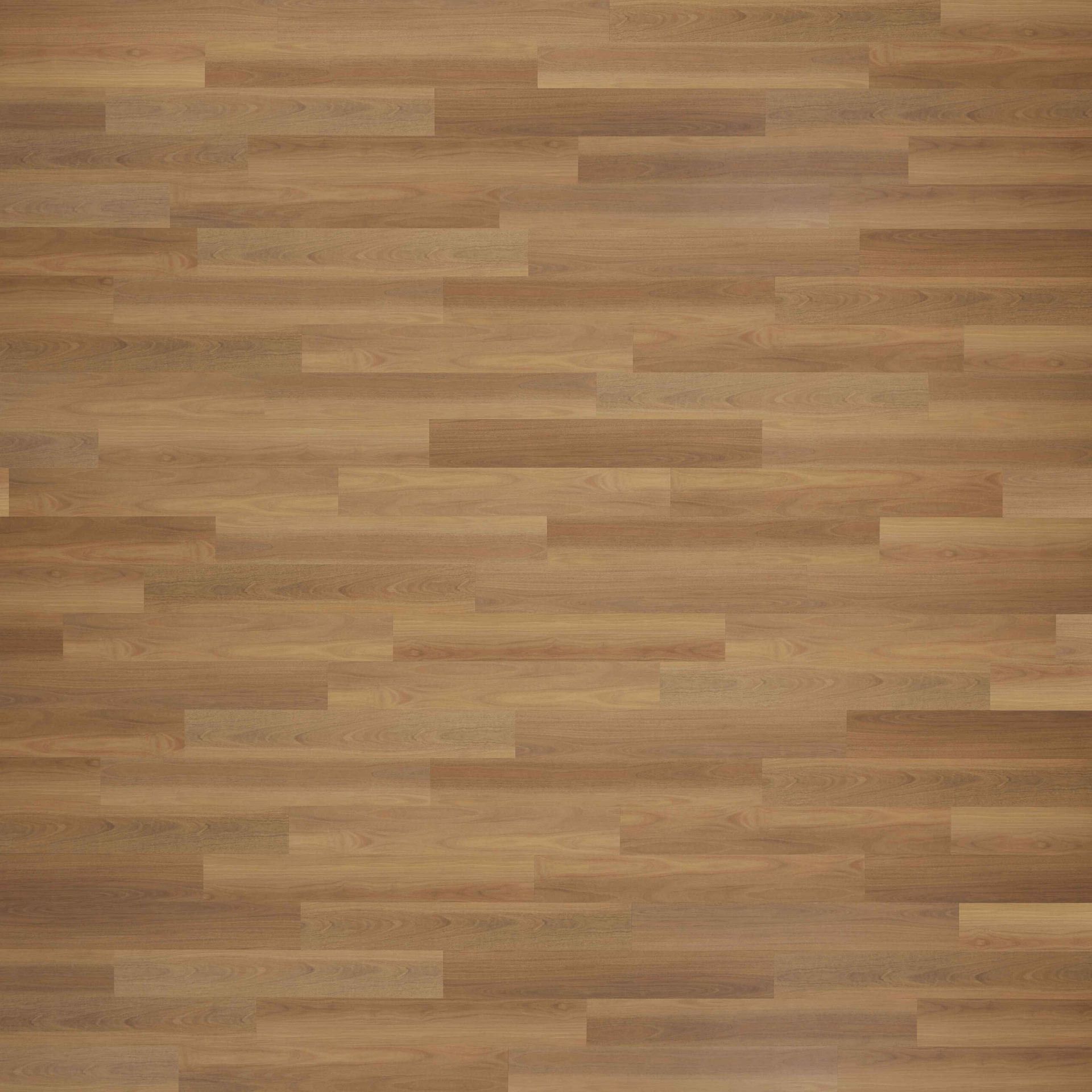 Sunstar Naturale 3.0 Flooring - NP304 Coastal Blackbutt - Product Image